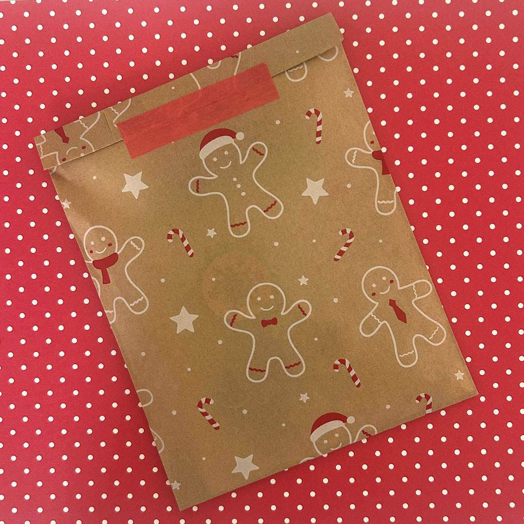 Kawaii Christmas Surprise Gift Bag